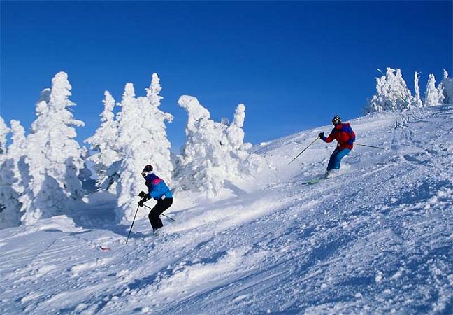 1467699975_1auli 2.jpg